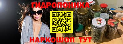 сатива Будённовск