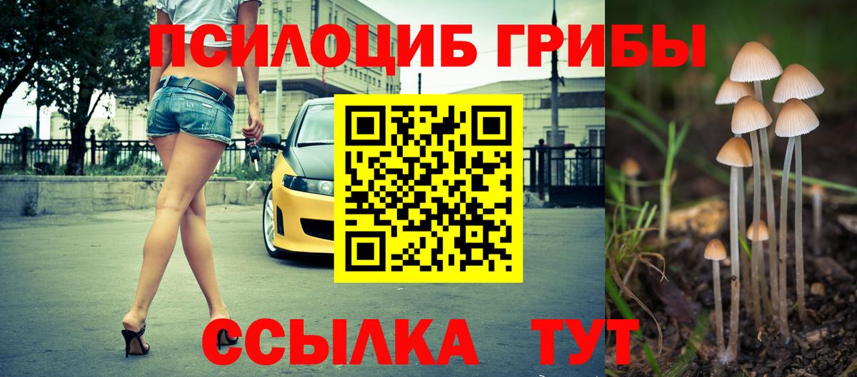Псилоцибиновые грибы прущие грибы Обнинск